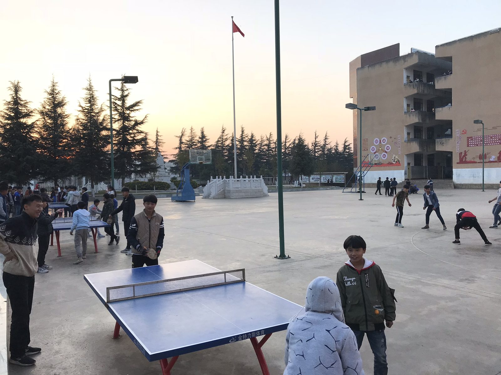 Ping Pong